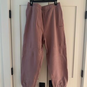 Aritzia Sweatfleece Mega Fit Claremont Color